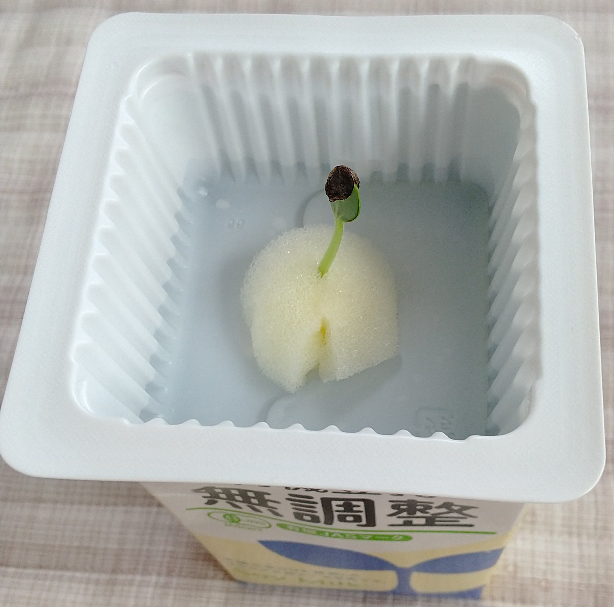 豆乳パックにはめ込んだ状態